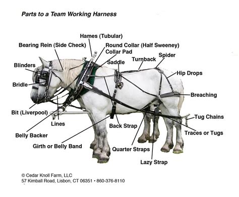mule harness parts diagram 